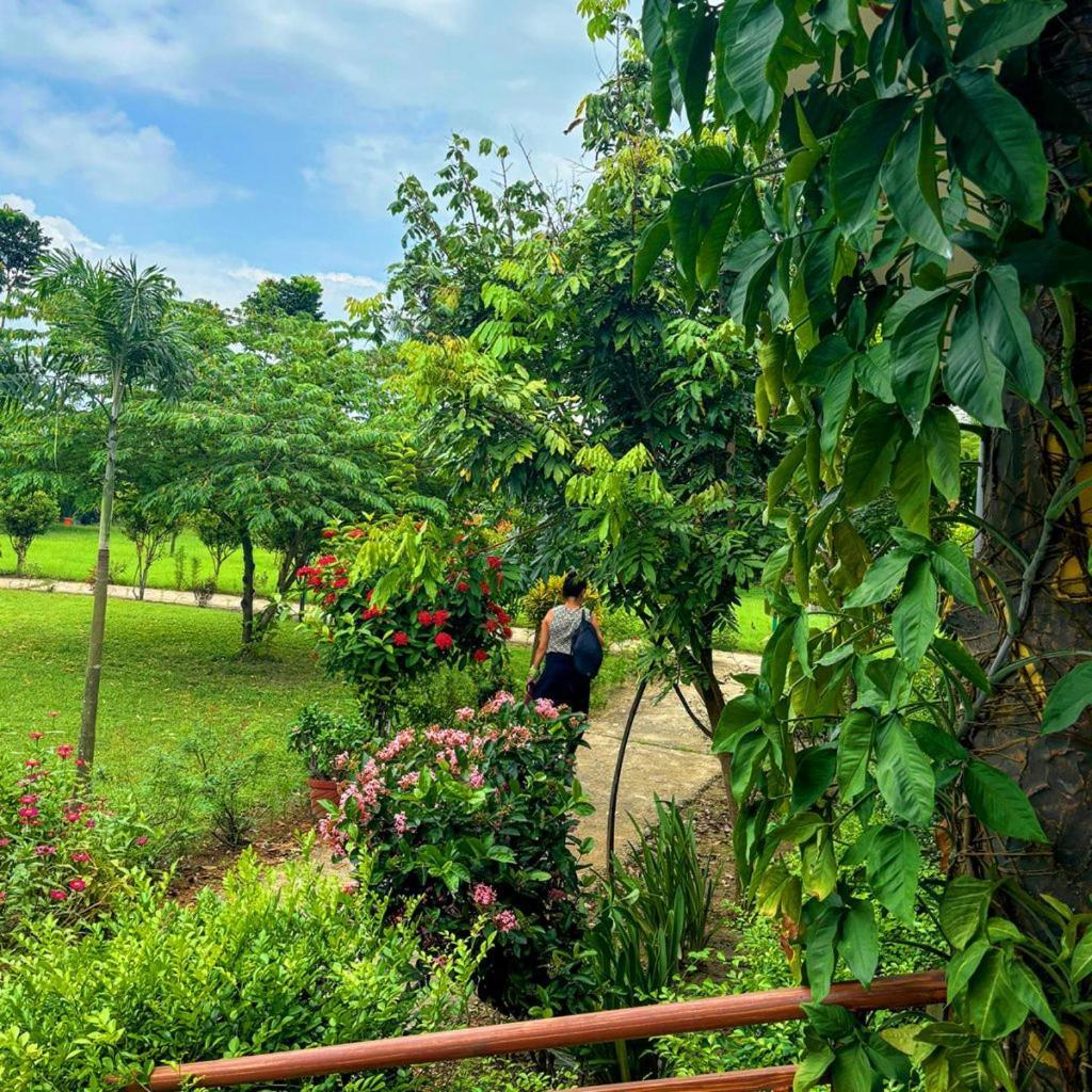 Hotel Greenland Safari Sauraha Exterior photo