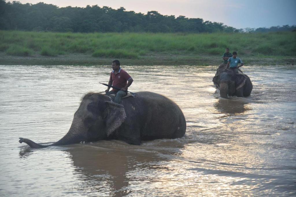 Hotel Greenland Safari Sauraha Exterior photo